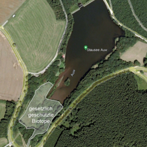 Luftbild Stausee Auw mit Biotopfläche im Bereich des südlichen Zulaufs